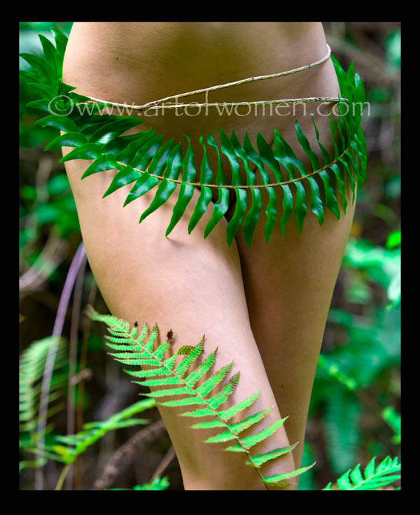 http://www.artofwomen.com/mmodels/sarah1.jpg
