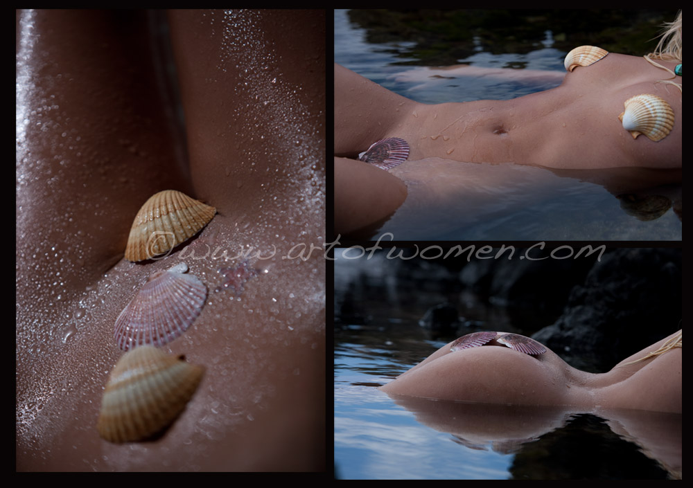 shells