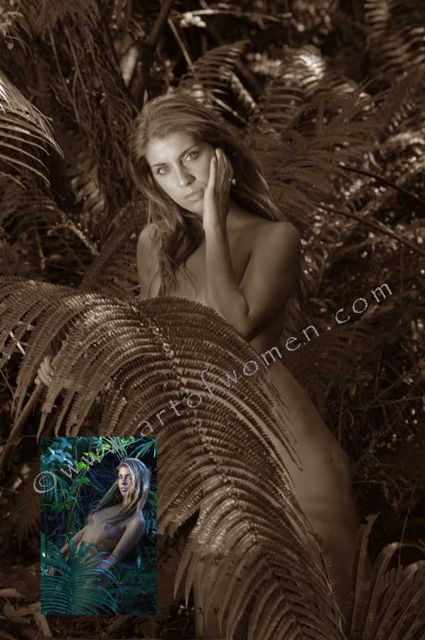 rainforest